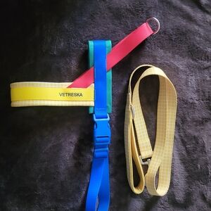 Colorful Dogs Harness And Leash